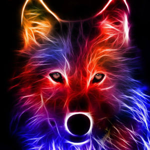 Meet your Posher, Ben